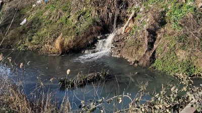 Türkiye,  geçtiğimiz yıllarda önce Marmara ve  Ege denizlerinde etkili olan