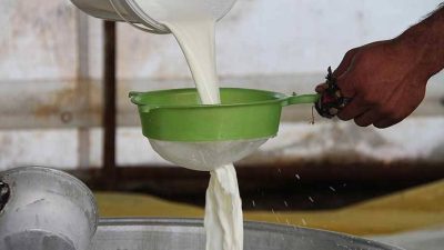 Bursa'da daha çok  kırsal bölgelerde hayvancılık ile uğraşan vatandaşlar artan