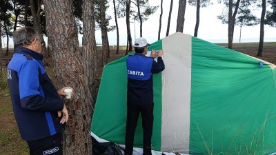 Bursa'nın Orhangazi ilçesinde İznik gölü kenarı çamlık alanda bulunan ve