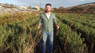 Türkiye’nin en kaliteli sofralık zeytininin yetiştiği yerlerden biri olan Bursa’nın