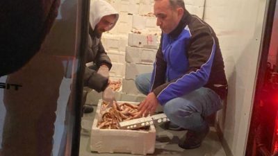 Bursa İl Tarım ve Orman Müdürlüğü, Bursa balık halinde son