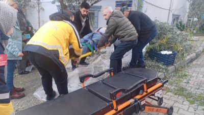 Bursa’nın Orhangazi ilçesinde meydana gelen olayda,  zeytin toplamak için çıktığı