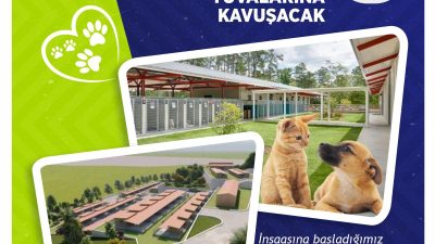 Orhangazi Belediyesi, sokak hayvanları için modern bir barınak inşa etmeye