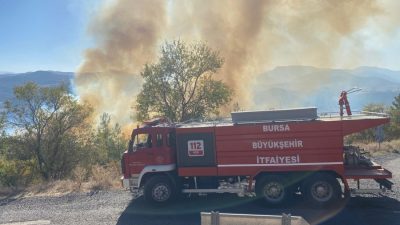 Bursa'nın Büyükorhan ilçesine bağlı Piribeyler Mahallesi yakınlarında nedeni bilinmeyen bir