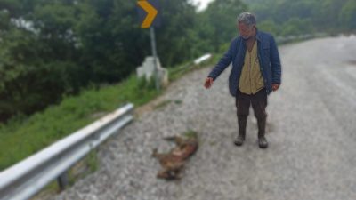 Bursa’nın Orhangazi ilçesinde son zamanlarda çok sayıda  küçükbaş hayvan üreticisinin
