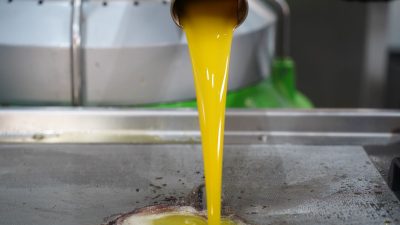 Orhangazi Belediyesi’nin geçtiğimiz yıl kurduğu Orhangazi Bahçe Kültürleri Tarım, Hayvancılık,
