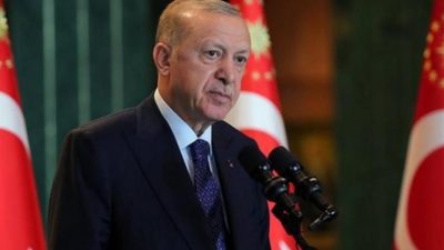 Cumhurbaşkanı Recep Tayyip Erdoğan, Gelişen Sekiz Ülke (D-8) Teşkilatı 11'inci
