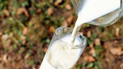 Ulusal Süt Konseyi (USK), 1 Ocak 2025'ten itibaren geçerli olacak