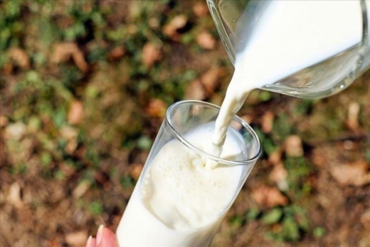 Ulusal Süt Konseyi (USK), 1 Ocak 2025'ten itibaren geçerli olacak