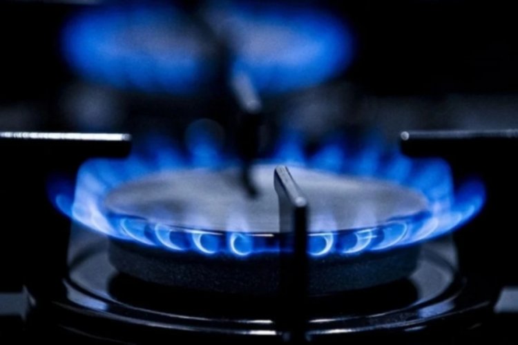 Enerji ve Tabii Kaynaklar Bakanı Alparslan Bayraktar, ocak ayında enerji