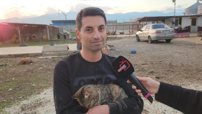 Bursa'da petshoplardan satın alındıktan sonra sokağa terk edilen hayvanlardaki artış