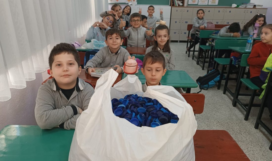 Bursa'nın ilçesinde Orhangazi Belediyesi Engelliler koordinasyon merkezi tarafından sürdürülen mavi