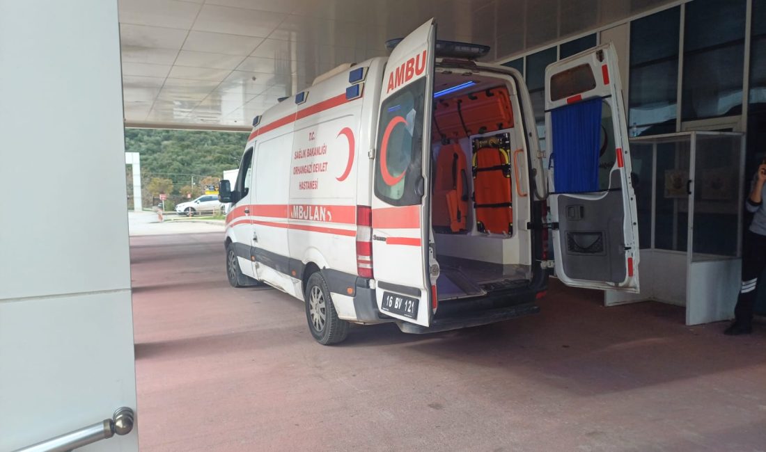 Bursa'nın Orhangazi ilçesinde meydana gelen olayda, yakınları tarafından evinin bahçesinde
