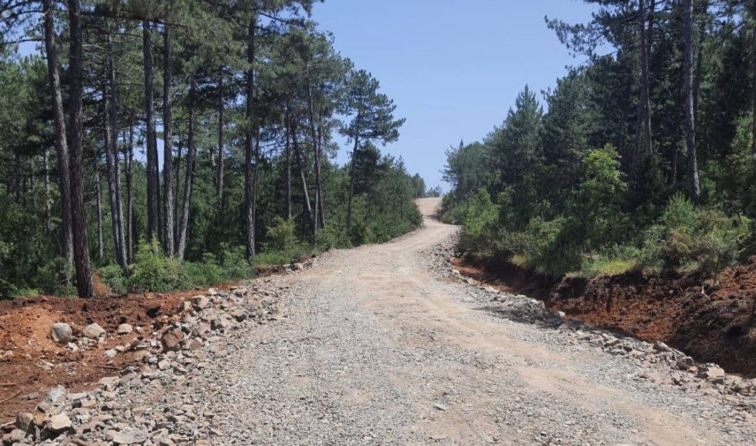 Bursa'da, Orman Bölge Müdürlüğü ekipleri tarafından olası orman yangınlarına erken