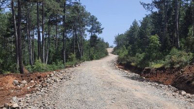 Bursa'da, Orman Bölge Müdürlüğü ekipleri tarafından olası orman yangınlarına erken