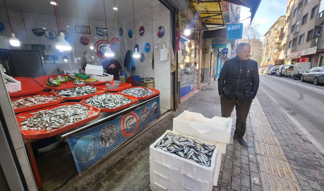 Geçtiğimiz günlerde yaşanan olumsuz hava şartları dolayısıyla balıkçılar denizlere açılamadı