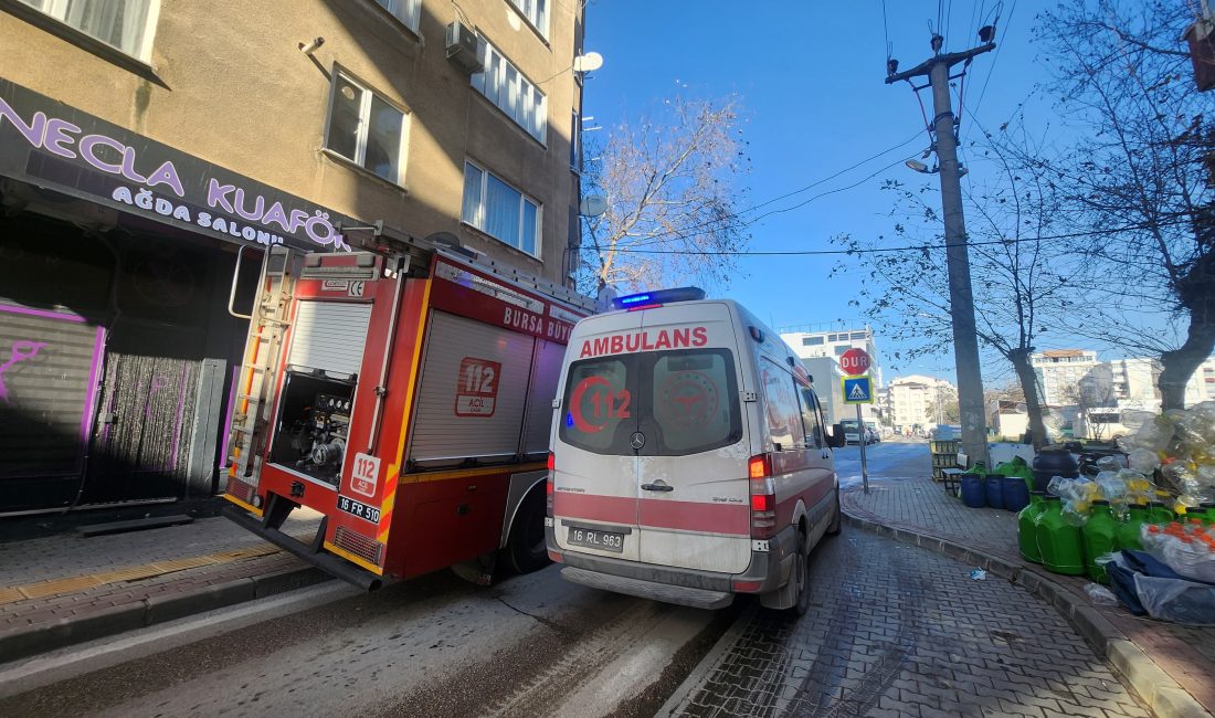 Bursa'nın Orhangazi ilçesinde bir