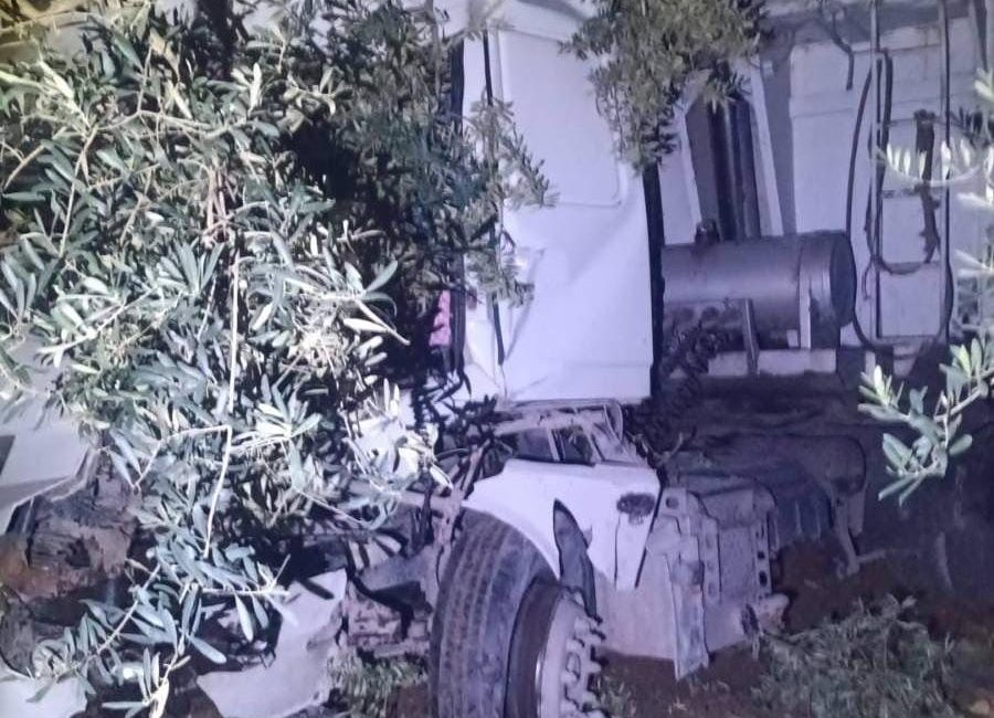 Bursa'da, Orhangazi - İznik yolu üzerinde gece saatlerinde yaşanan kazada,