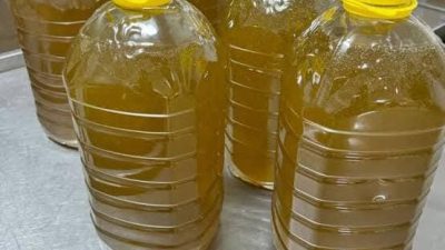 Bursa'nın Orhangazi ve İznik ilçesindeki üreticilerden aldığı yüksek miktarlarda zeytinyağlarının