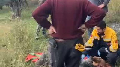 Bursa'nın Orhangazi ilçesinde meydana gelen olayda zeytin toplamak için çıktığı