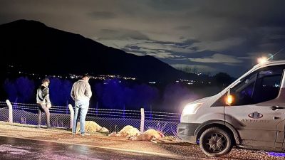 Bursa'nın Orhangazi ilçesinde meydana gelen olayda bir otomobil önüne çıkan