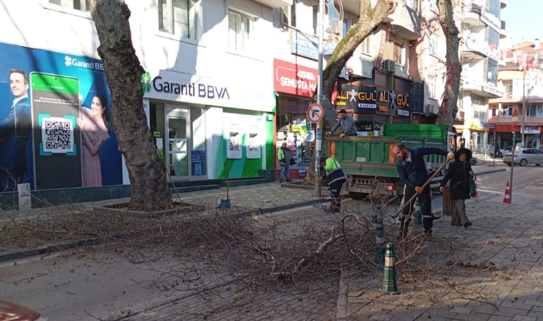 Bursa'nın Orhangazi ilçesinde ana