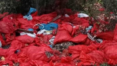 Bursa'nın Orhangazi ilçesinde turşu yapımında kullanılan çuvallar dolusu biber ve