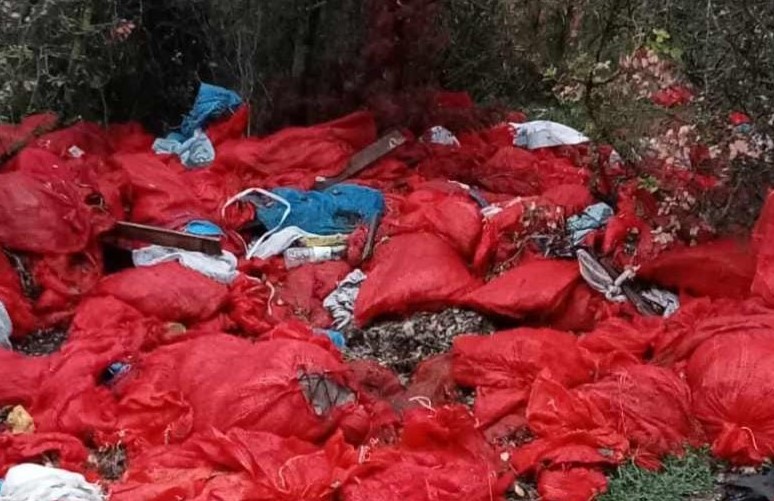 Bursa'nın Orhangazi ilçesinde turşu yapımında kullanılan çuvallar dolusu biber ve