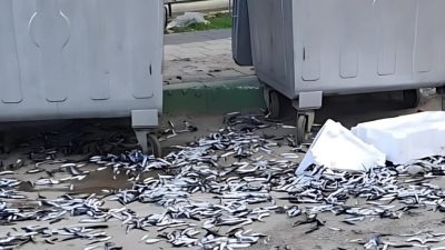 Gemlik’te kimliği henüz belirlenemeyen bir şahıs, Bölge Parkı ışıklar mevkiinde