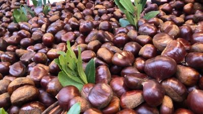 Bursa denince akla gelen ilk lezzetlerden olan kestane, dolandırıcıların yeni