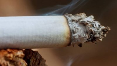 Resmi Gazete'de yayımlanan Tarım ve Orman Bakanlığı'na ait yönetmelik ile