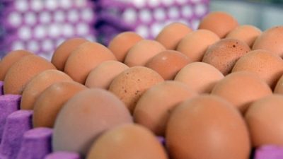 Et ve balık fiyatlarının artmasıyla yurttaşlar protein kaynağı olarak yumurtaya