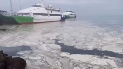 Bursa'nın Mudanya ilçesinde sahilin kıyı kesimlerini saran müsilaj günden güne