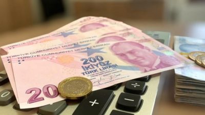Özel eğitim okulları ile rehabilitasyon merkezlerinde engellilere verilen destek eğitiminin