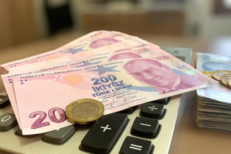 Özel eğitim okulları ile rehabilitasyon merkezlerinde engellilere verilen destek eğitiminin