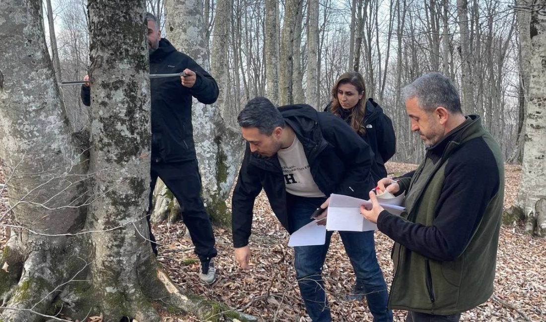 Bursa Orman Bölge Müdürlüğü tarafından, Bursa'da bulunan Ormanların sağlıklı gelişimlerini