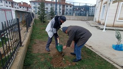 Bursa'nın Orhangazi ilçesinde Müftülük ve Orman işletme şefliği tarafından ortaklaşa