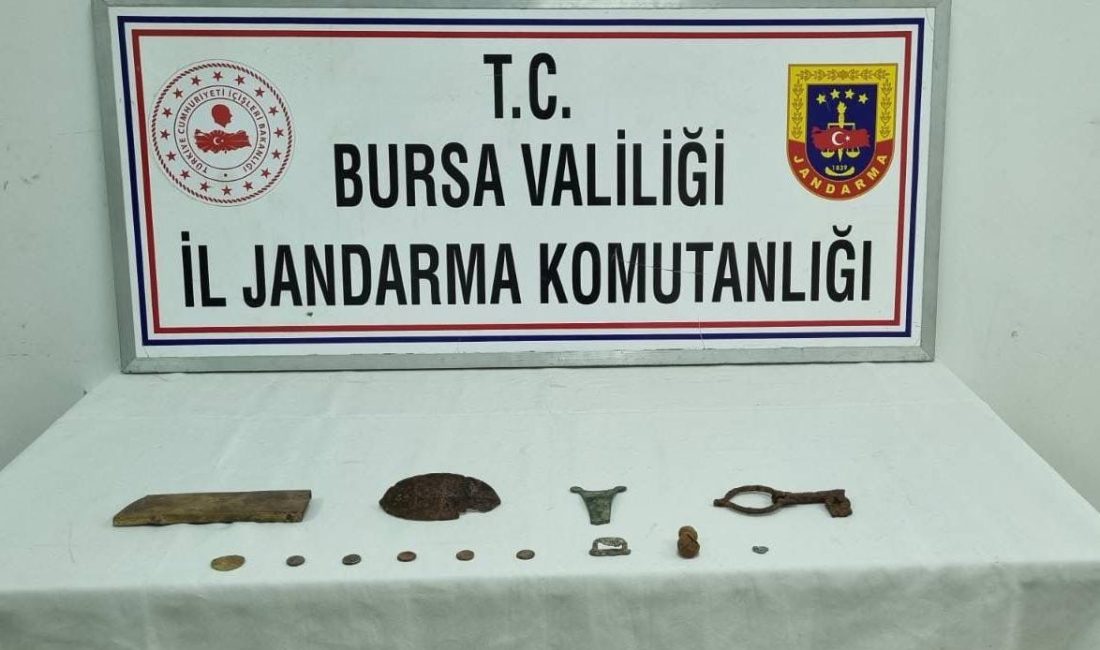 Bursa'nın Orhangazi ilçesinde bir zeytinlik içinde, define aramak için kaçak