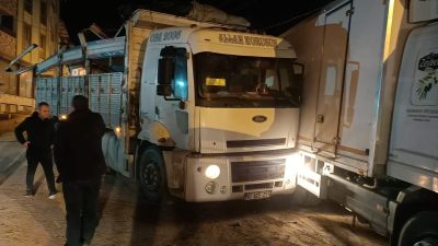 Bursa'nın Orhangazi ilçesinde meydana gelen olayda, kasasında zeytin yüklü olan