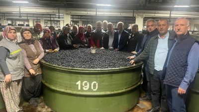 Ekim ayı ile birlikte üye ortaklarından zeytin alımlarına başlayan Türkiye’nin