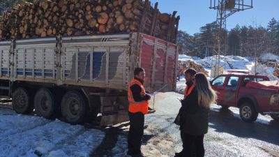 Bursa'da orman suçu ve ormanlardan kaçak kesim yapılmasına karşı, Bursa