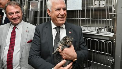 Bursa Büyükşehir Belediyesi’nin sahipsiz sokak hayvanlarını sıcak bir yuvada buluşturduğu