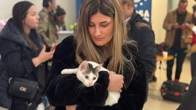 Bursa Büyükşehir Belediyesi ve Bursa Kent Konseyi tarafından ‘Dünya Kediler