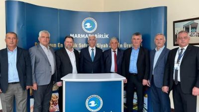 Bursa'da, Marmarabirlik'e bağlı İznik Zeytin Tarım Satış Kooperatifi'nde Salı günü