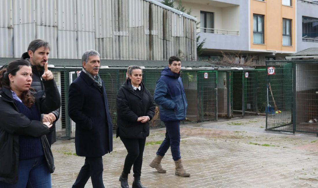 Gemlik Belediyesi Umurbey Hayvan Rehabilitasyon Merkezi, uzun yıllardır kentimize hizmet