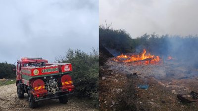 Bursa'nın Orhangazi ilçesinde TOKİ konutlarının üst kısımlarında ormanlık alanda henüz