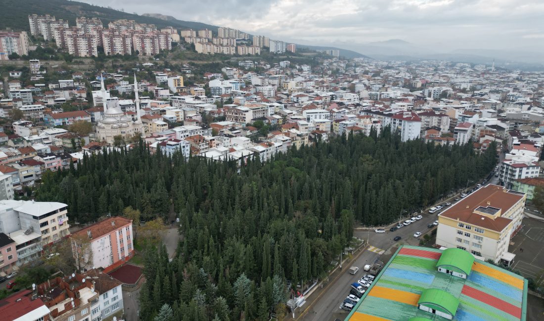 Adrese Dayalı Nüfus Kayıt sistemine göre 2024 yılında Bursa'nın Orhangazi