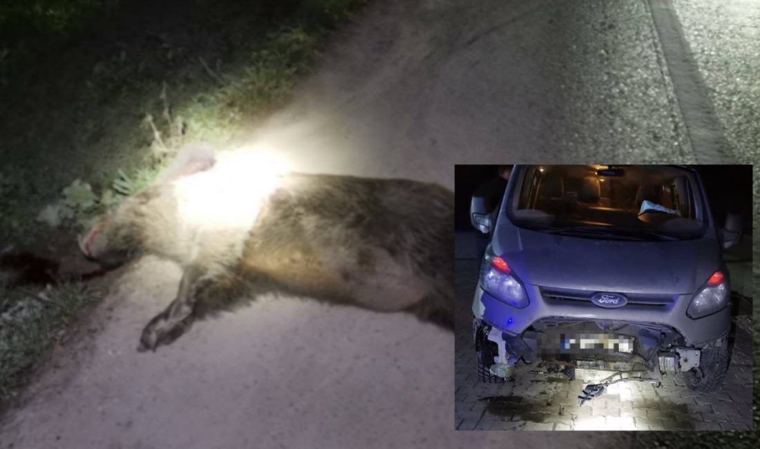 Bursa'da, Orhangazi - İznik yolu üzerinde meydana gelen trafik kazasında