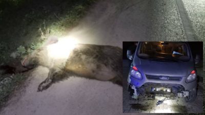 Bursa'da, Orhangazi - İznik yolu üzerinde meydana gelen trafik kazasında