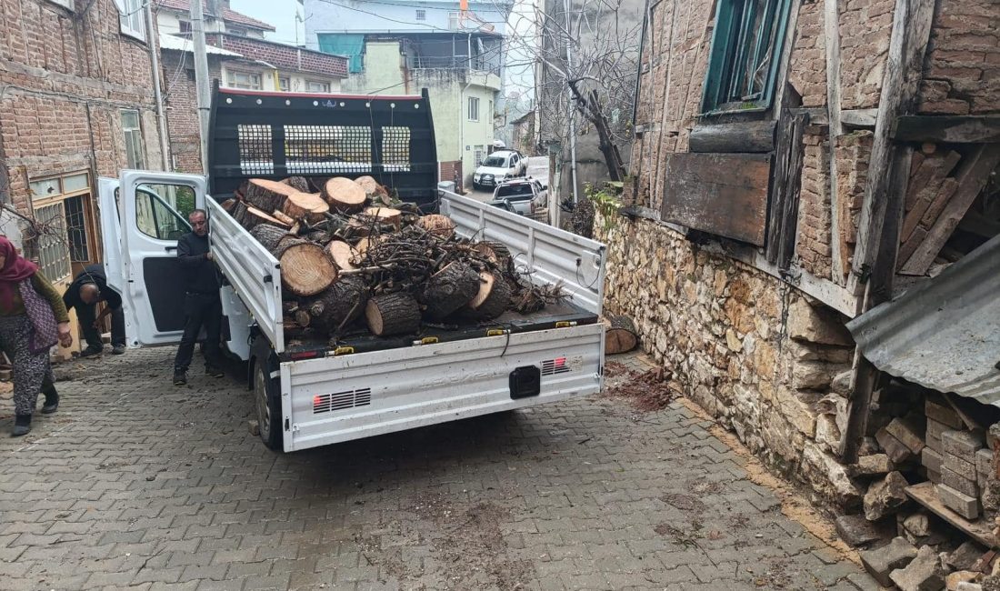 Bursa'nın Orhangazi ilçesinde  belediye ekiplerince çevre düzenlemeleri kapsamında budanan ağaçların